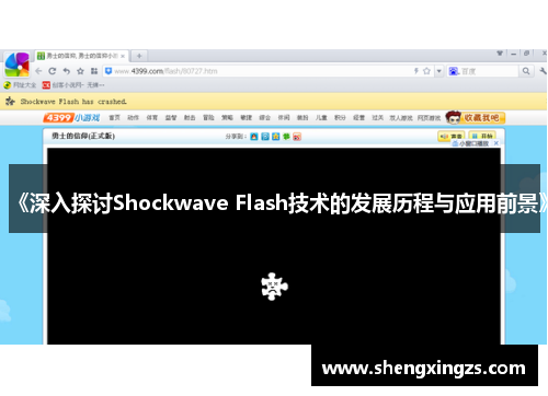 《深入探讨Shockwave Flash技术的发展历程与应用前景》